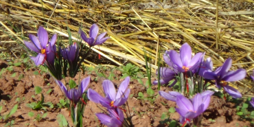 WhatsApp Image 2023-10-30 at 11.18.02