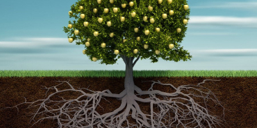 Yerel Sivil İnisiyatifler ağaç köklerinin toprağı tuttuğu gibi toplumu tutar.