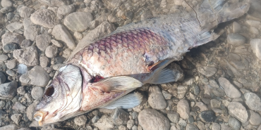 9 işçi kaderine terk edildi, yeni çekilen görüntü olayın dehşetini ortaya koydu