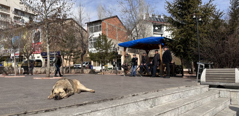Heyecanla beklenen Nazımiye seçimleri ve belediye başkan adayları