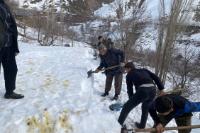 VAN-DAMLARDAKI-KARI-IMECE-USULU-TEMIZLIY_20635