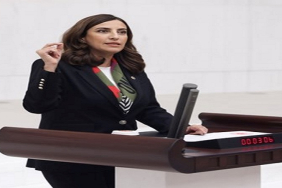 WhatsApp Görsel 2024-03-04 saat 17.18.56_88ce148d