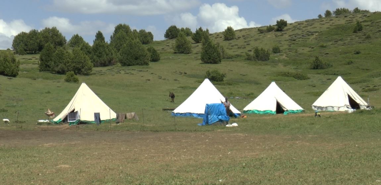 Dersim’in biyoçeşitliliği, aşırı otlatma ve maden tehdidi altında