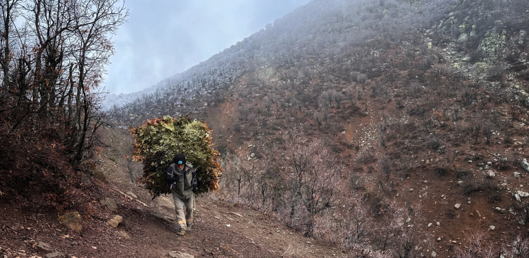 Hayvancılığın zorlu yolculuğu