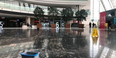 11gar2jpg-fetwdfk-eu6okf9x0e7yqw