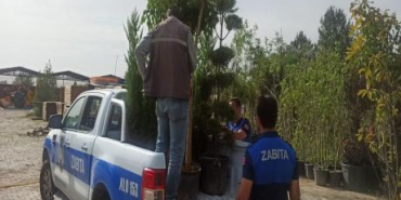 İş yeri önündeki dut ağacını kesen esnafa 10 fidan hibe e