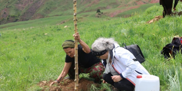 690x390cc-drsm-03-05-2024-seyit-riza-koyu-agac-dikimi1