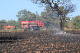 Çanakkale'de tarım arazisi yandı; 100 dönüm zarar gördü