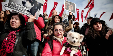 akpnin-otanazi-cikisina-hayvanseverler-tepkili