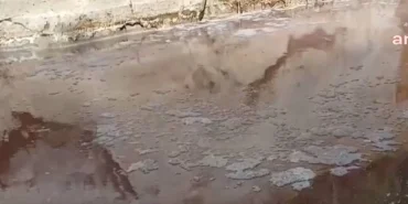 elazig-da-yurttaslardan-atik-tepkisi-bu-katliamin-bir-an-once-durdurulmasini-istiyoruz