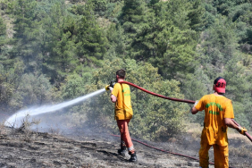 orman-yanginlari-yaklasik-5-kat-artti