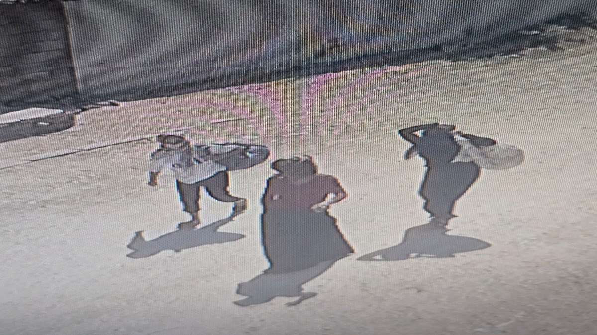 MARDİN Mahalleye bohçacı gibi gelip, girdikleri evden para ve