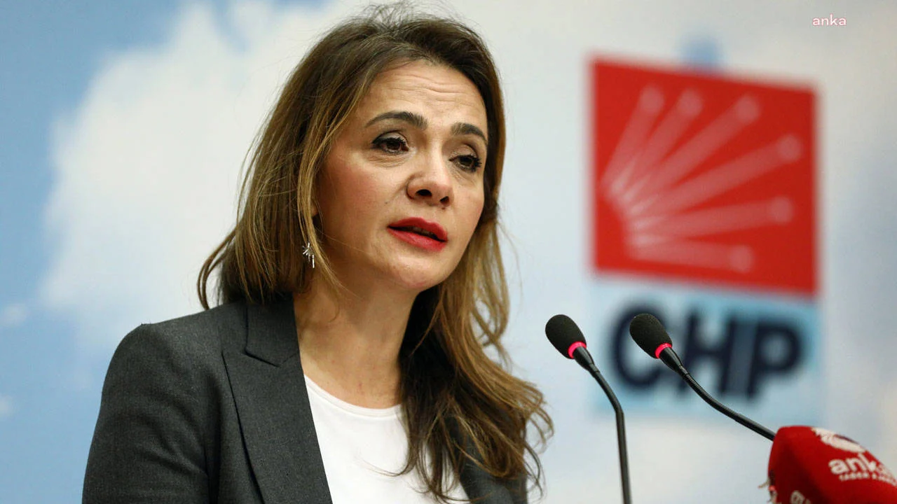 chp-li-ilgezdi-tuik-baskani-masallara-inaniyor