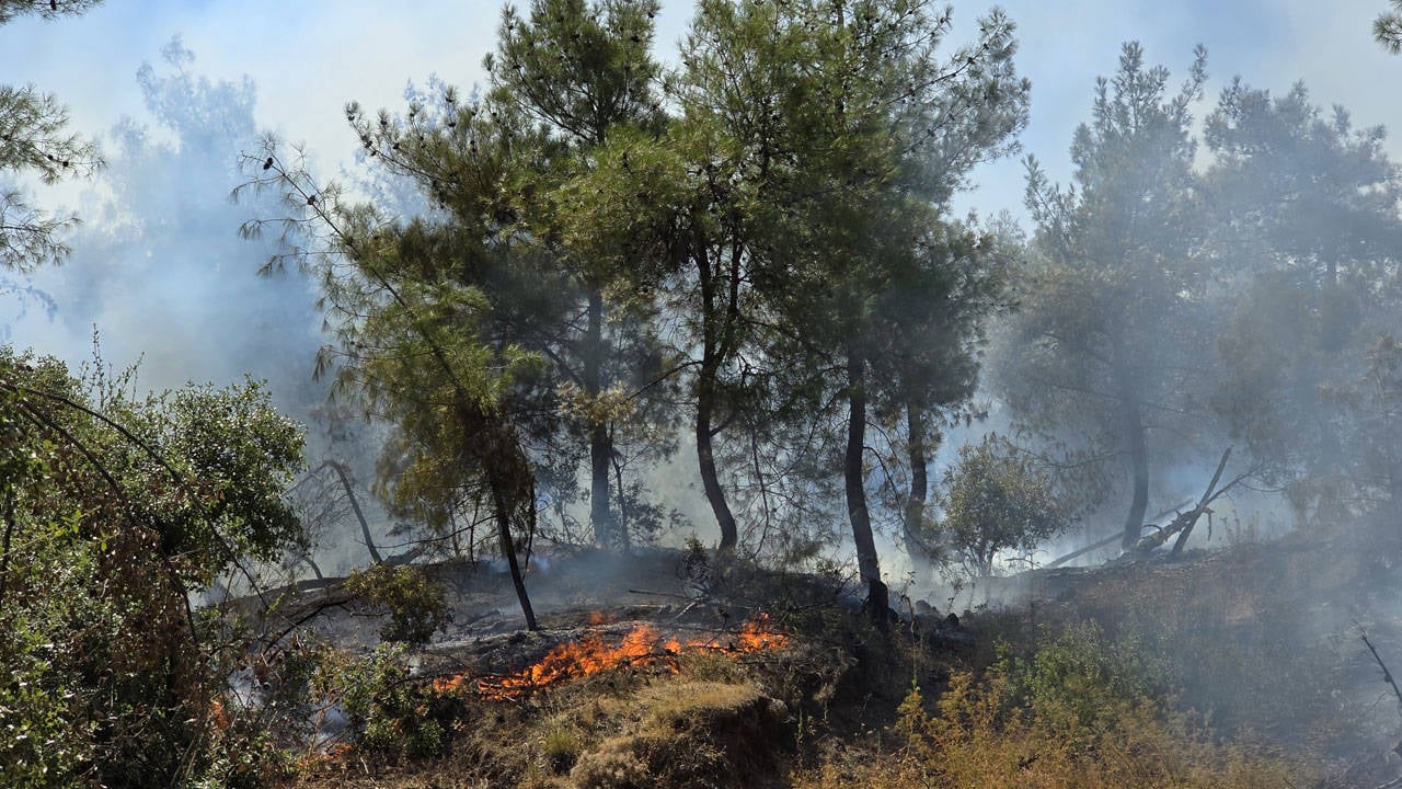 hatay-da-cikan-orman-yangini-kontrol-altina-alindi