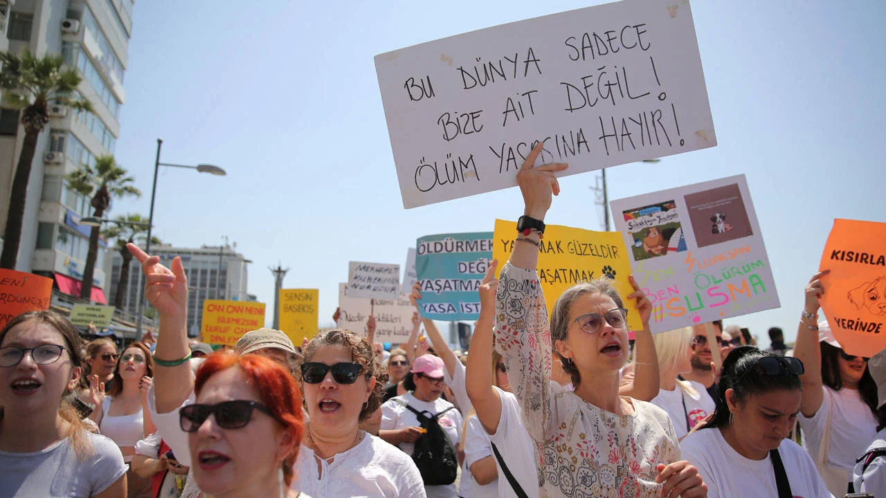 muhalefetten-hayvan-katliamina-hayir-teklifi-cekin-insanlik-utancina-imza-atmayin