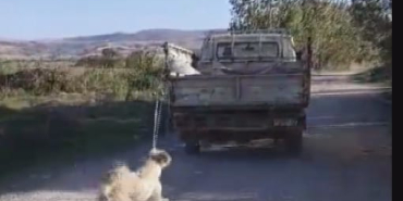 Köpeğini kamyonetin arkasına bağlayıp, sürükledi