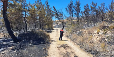 Urla'daki maki yangınıyla ilgili hasar tespit çalışması ba