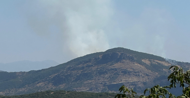 Nazımiye’de orman yangını