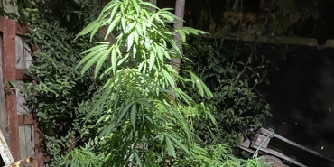 Ekran Resmi 2024-08-10 18.54.36