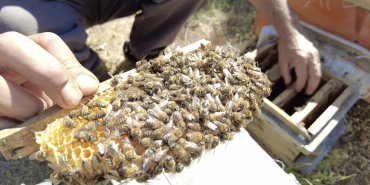 Ekran Resmi 2024-08-19 09.22.06