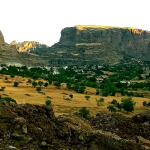 Foto Yaşar Gündoğan-Mazgirt