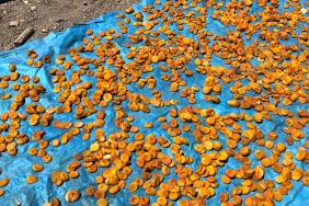 WhatsApp Görsel 2024-08-03 saat 11.32.25_e04a7b8b