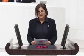 elci-diyarbakirdaki-saldirilari-meclise-tasidi