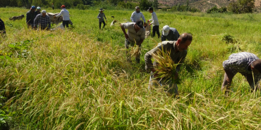 BATMAN’DA-TARIM-MAKINELERININ-GIREMEDIGI_367559_101435