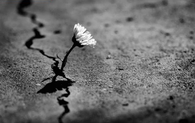 Doktrinler ve Küresel güç ilişkileri bağlamında Suriye’ye bakış!