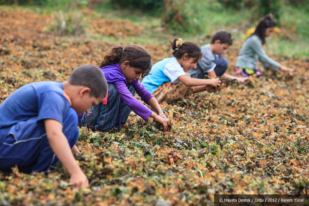 23 Nisan’da Çocuk İşçiliğinin Karanlık Yüzü: Türkiye’de Çocuklar Çalışıyor, Okuldan Kopuyor, Aç Yatıyor