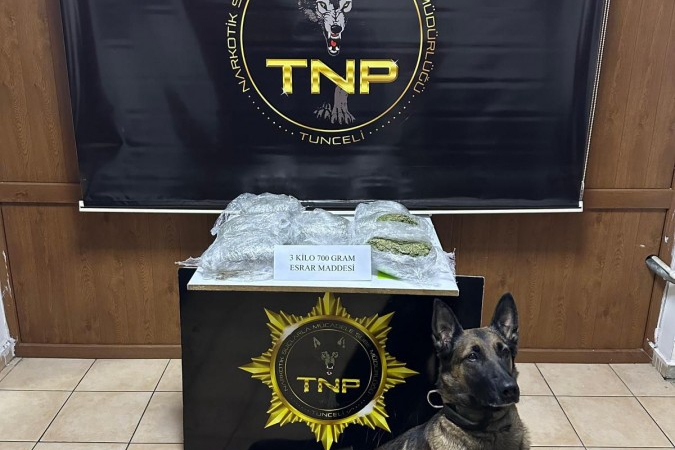 Tunceli’de Rekor Uyuşturucu Yakalanması: Narkotik Köpeği Luna 3,7 Kilo Skunk Buldu