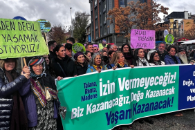 WhatsApp Image 2025-11-16 at 13.34.50