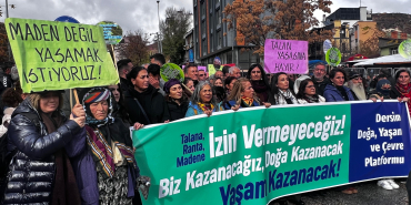 WhatsApp Image 2025-11-16 at 13.34.50