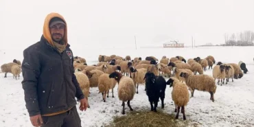 Vanda-yasayan-Recep-Yolak-hayvancilik-yaparak-gecimini-saglamaya-calisiyor.-Fatma-Nur-Polatcan-800x430