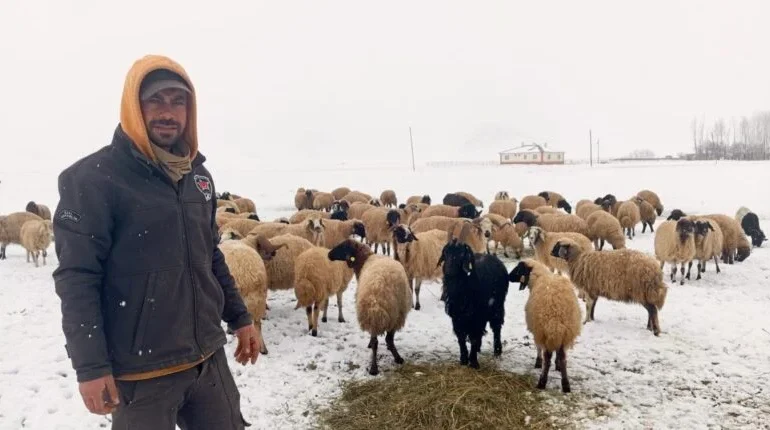 Vanda-yasayan-Recep-Yolak-hayvancilik-yaparak-gecimini-saglamaya-calisiyor.-Fatma-Nur-Polatcan-800x430