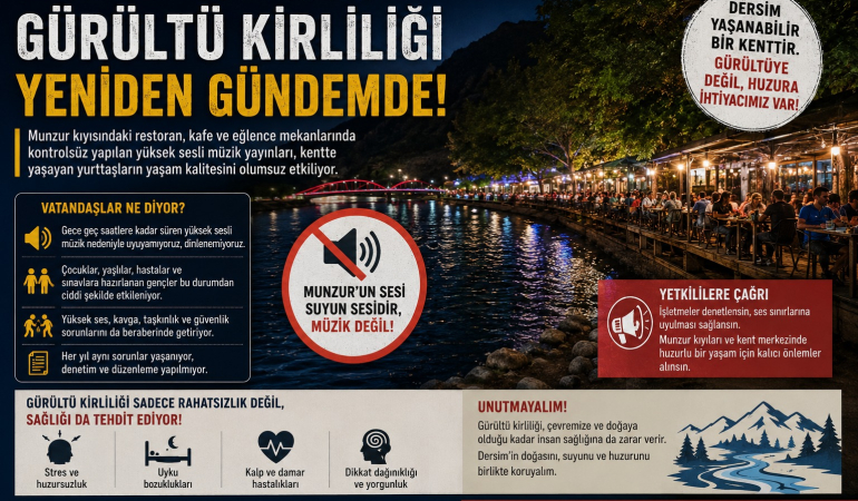 Gürültü Kirliliği