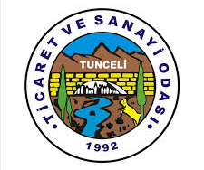 TTSO