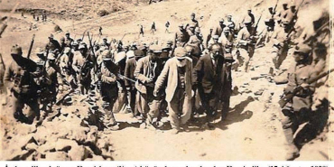 Dersim 37-38