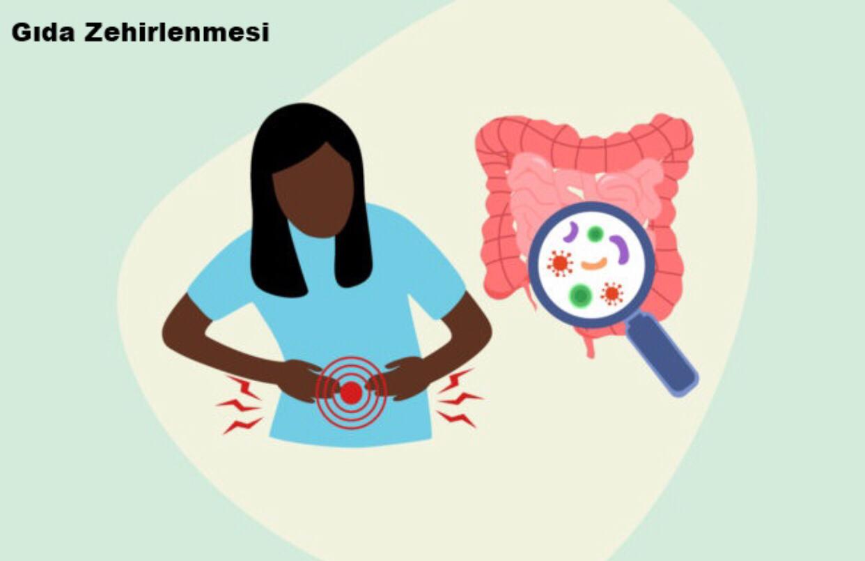 Besin Zehirlenmesi Olguları Yine Artışta…